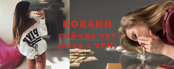винт Горняк