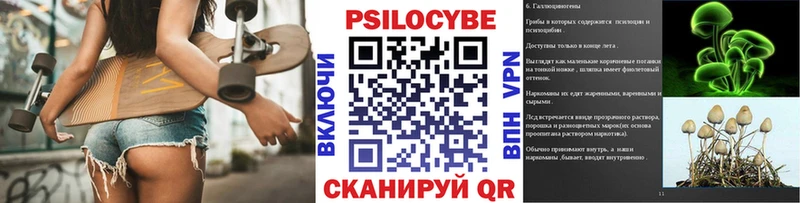 дарнет шоп  Чегем  Псилоцибиновые грибы Psilocybe 