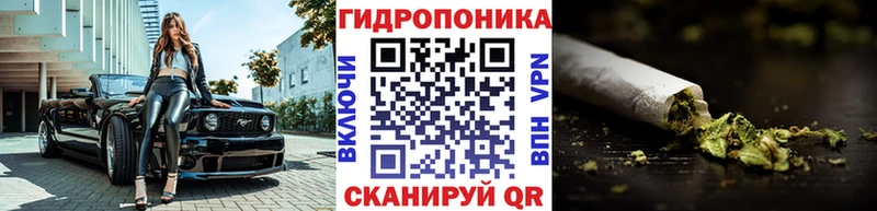 нарко площадка как зайти ссылка на мегу зеркало Чегем продажа наркотиков Бошки марихуана ГИДРОПОН